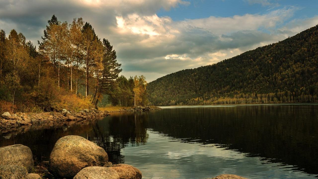 Снимка: pixabay