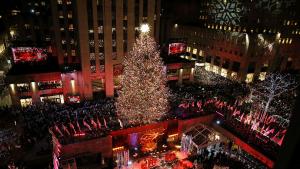 Ню Йорк елха Коледа