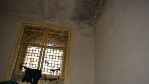 арест условия