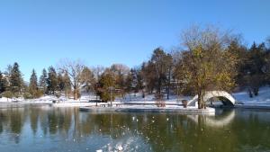 времето зима