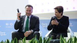 Арнолд Шварценегер