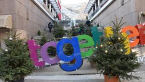 Пловдивчани украсяват живи иглолистни дръвчета на Центъра