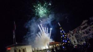 Петрич елха