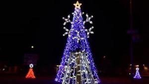 Гоце Делчев елха