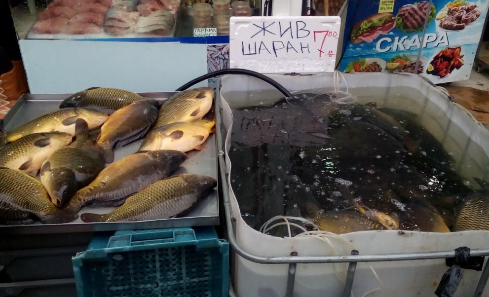 риба рибна борса Варна