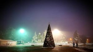 Коледна елха Враца