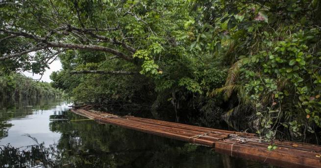 Река Амазонка пресича картата на Южна Америка - от Андите