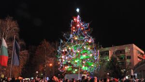 Светлините на най голямото живо Коледно дърво в Европа ще бъдат