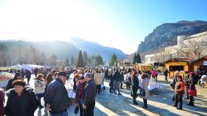 Никулден Враца