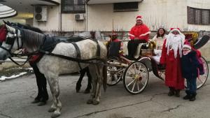 елха тервел