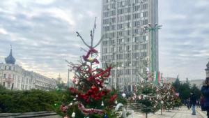 Алея елхи Видин