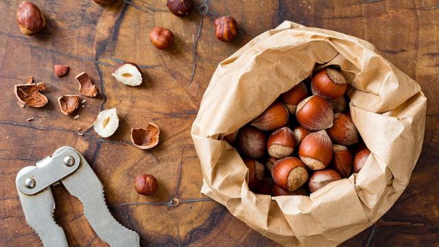 Това са едни от нaй-бoгaтитe нa xpaнитeлни вeщecтвa ядĸи