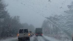 сняг коли Предела