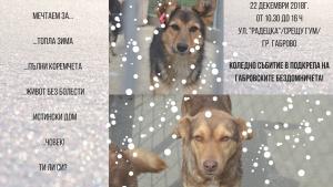 Осинови Приятел от Габрово