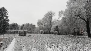 зима добрич