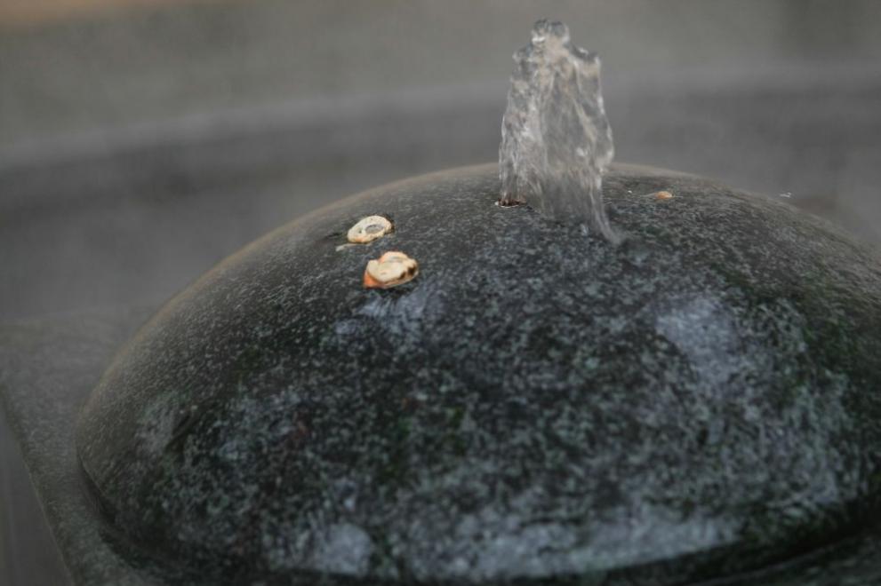  Откраднаха статуята на Аполон Медикус от Централна баня 