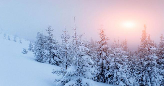 Зимното слънцестоене тази година настъпва днес 21 декември в 00 23