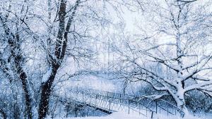 красива зима сняг красота