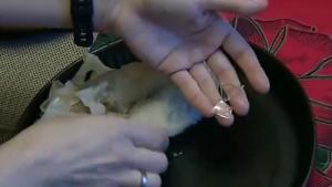 сърми стъкло