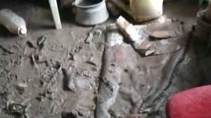 Добрич къща