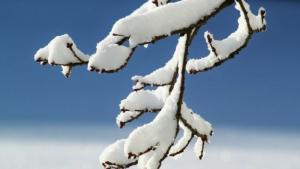 зима сняг време