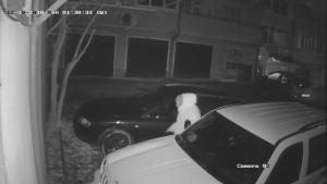 видео вандал шумен