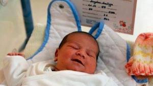 бебе Анелия