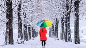 времето зима жена сняг