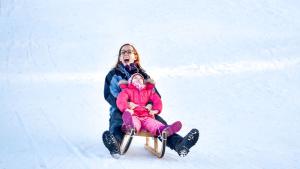 времето зима сняг дете шейна