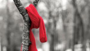 зима бездомни