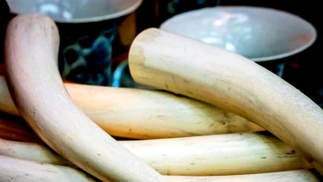 Древна кост дава информация за историята на азбуката на славяните