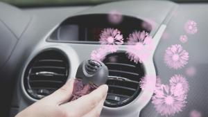 автомобил ароматизатор