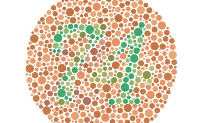 Ако имате нормално зрение, би трябвало да виждате числото 74 в кръга. Ако имате частична цветна слепота, може би виждате 21. А хората с пълна цветна слепота не виждат никакво число в кръга.