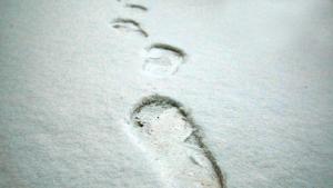 Сняг студ зима