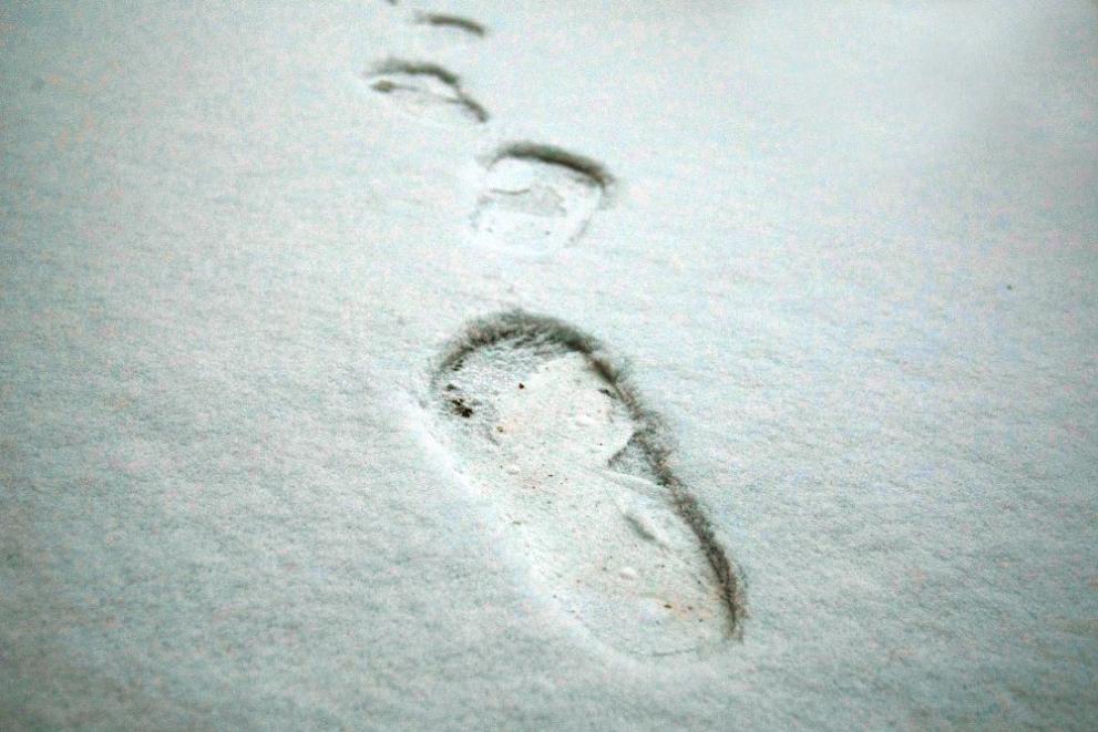  Сняг мраз зима 