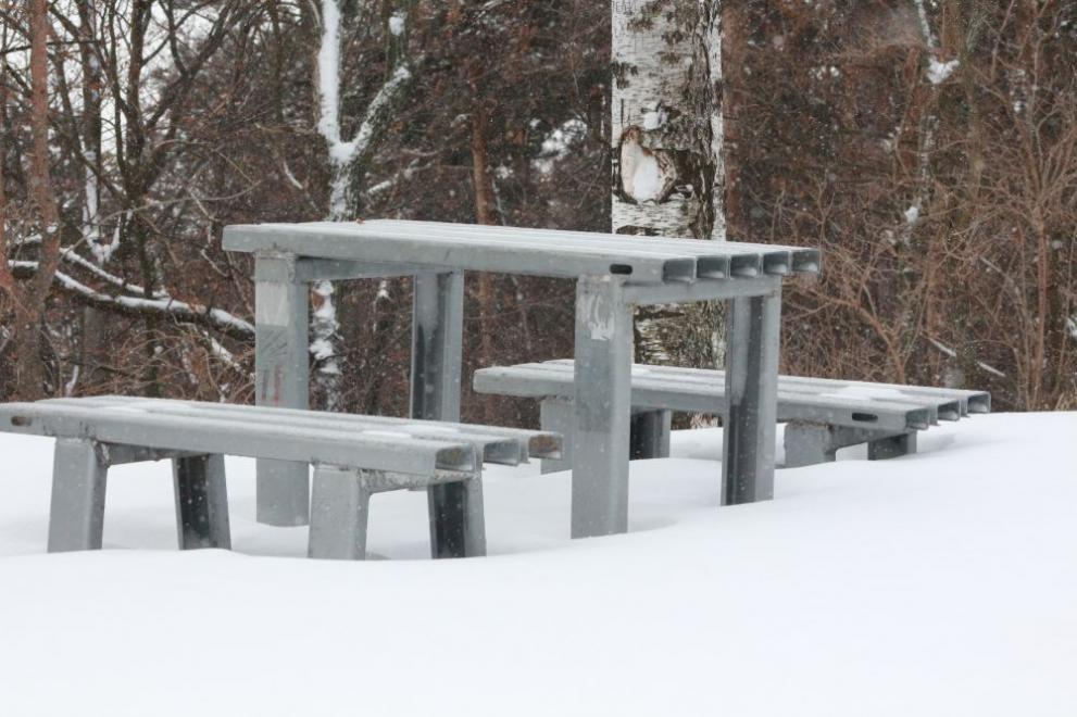  Сняг мраз зима 