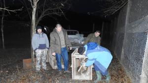 ДЛС Тервел елен лопатар