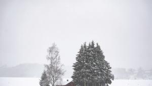 Австрия