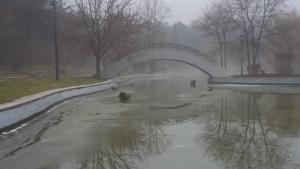 парк добрич