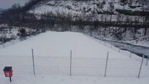 Мирослав Семов