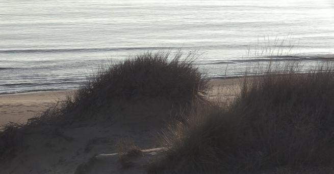 Собствениците на караваните върху дюни на къмпинг Смокиня все още