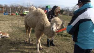 камила Бургас