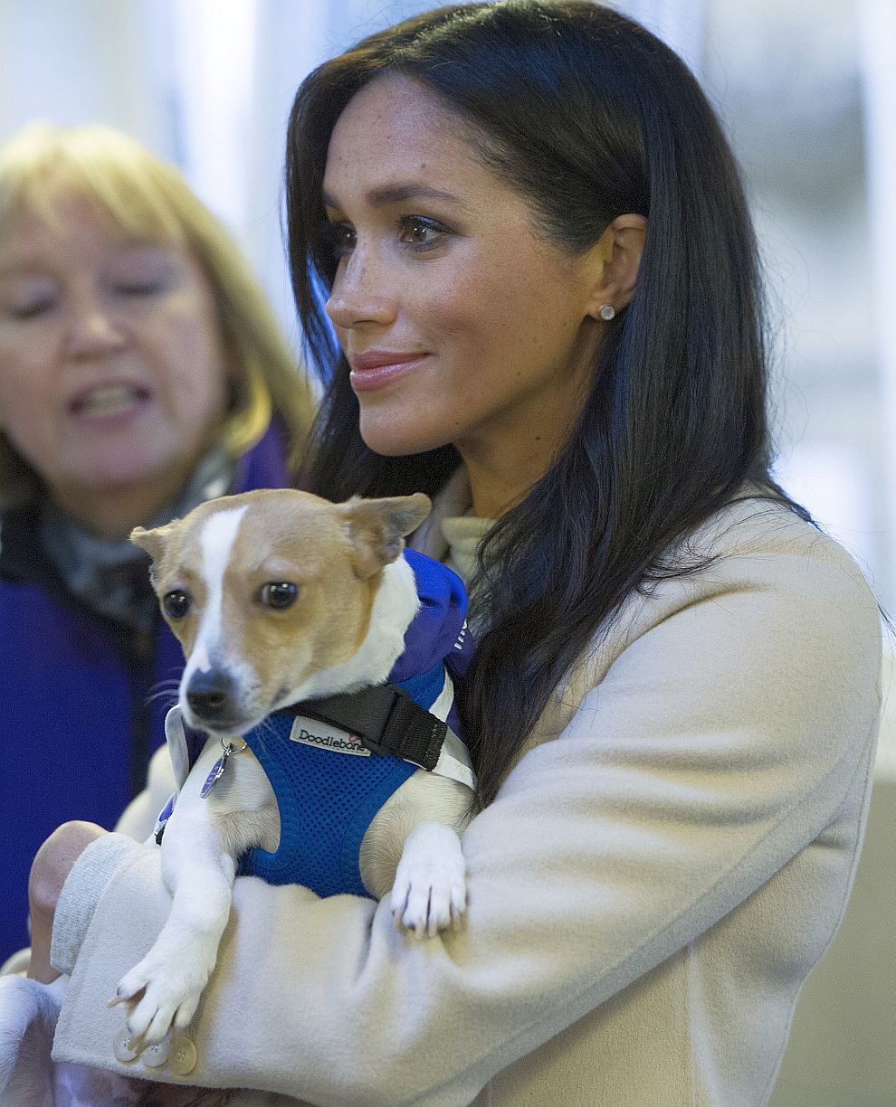 Херцогиня Меган на посещение в благотворителната организация за благоденствие на животните „Мейхю“