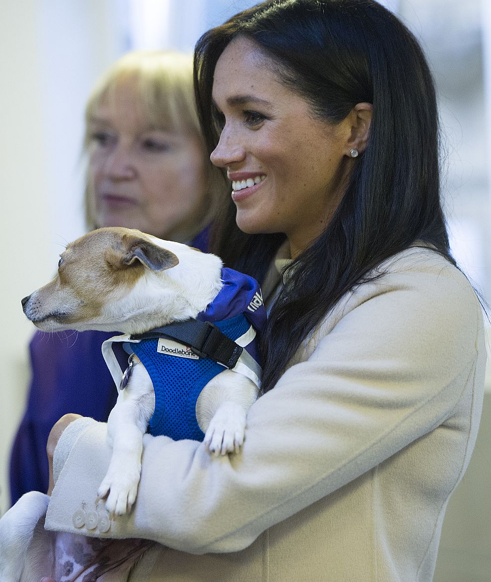 Херцогиня Меган на посещение в благотворителната организация за благоденствие на животните „Мейхю“