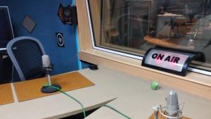 Дарик радио