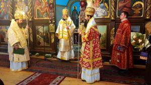 трима митрополити Враца