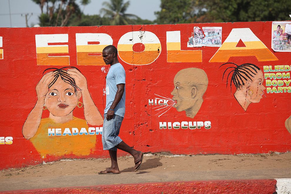 Смъртоносният вирус Ебола бе открит в прилеп в Либерия