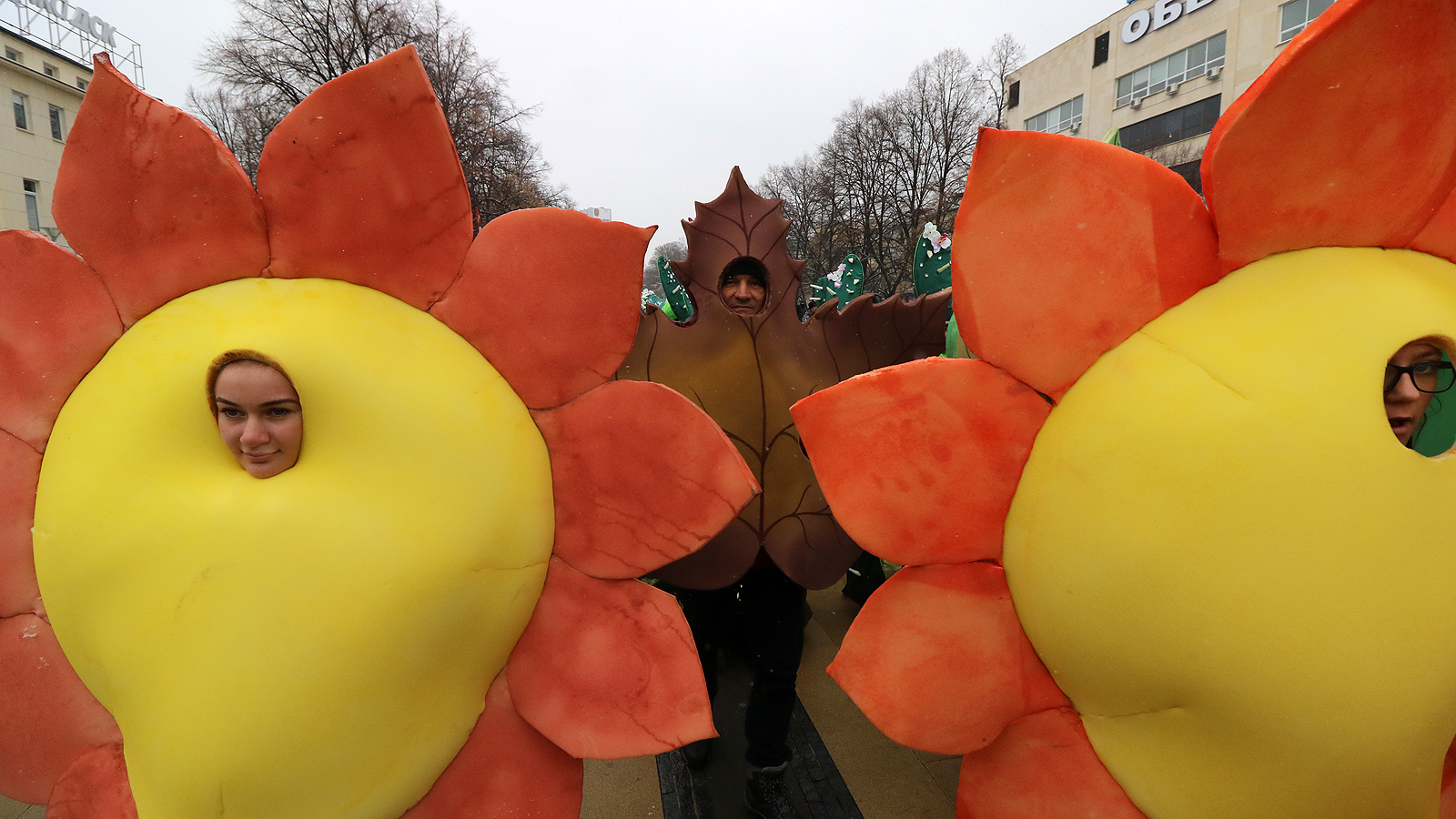 Сурва в Перник 2019