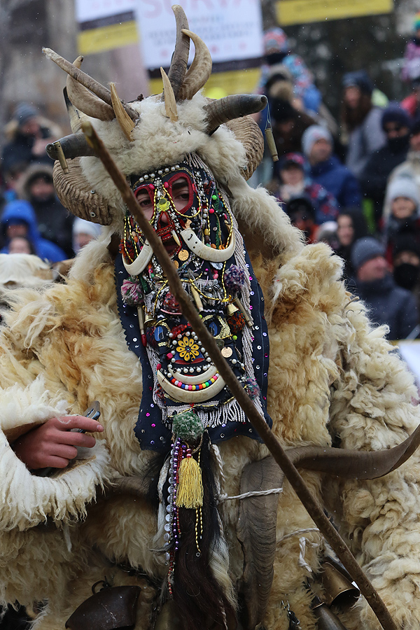 Сурва в Перник 2019