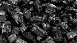Разкриха незаконен добив на въглища в Перник съобщиха от полицията На